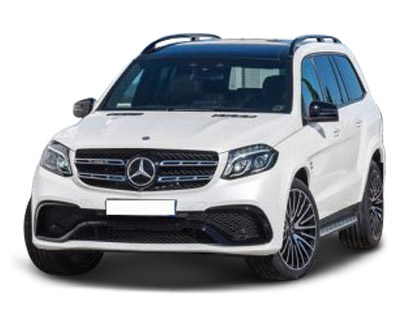 YGLS(j)AMG